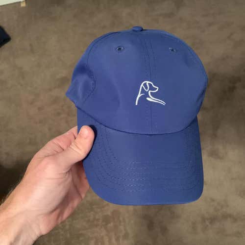 Blue Rhoback Hat