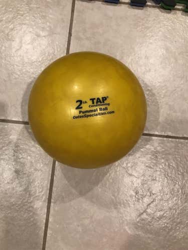 TAP 2 lb Pummel Ball