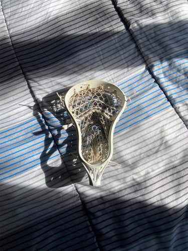 Used Warrior Evo 4X Head