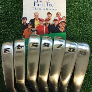 Fortune XR3 Iron Set 3-9 Regular Steel Shafts