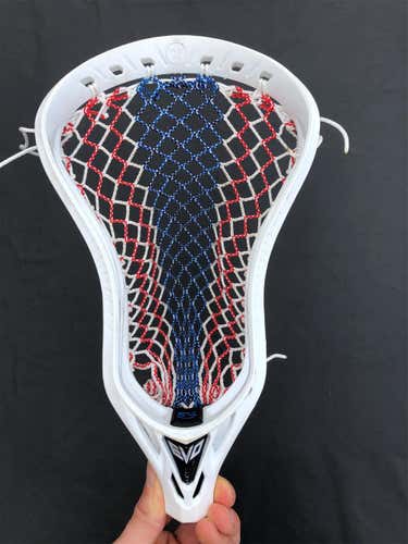 Evo 5 With Dynasty Mesh