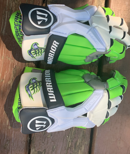 Chesapeake Bayhawks 2020 Warrior Gloves 14" NO PALMS