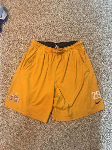 Albany Team Issued Nike Dri-Fit Shorts