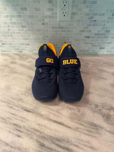 Blue And Yellow Jordan Michigan Size 12