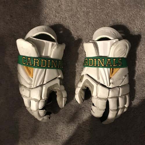 Custom Maverik Max Bishop Guertin 13" Gloves