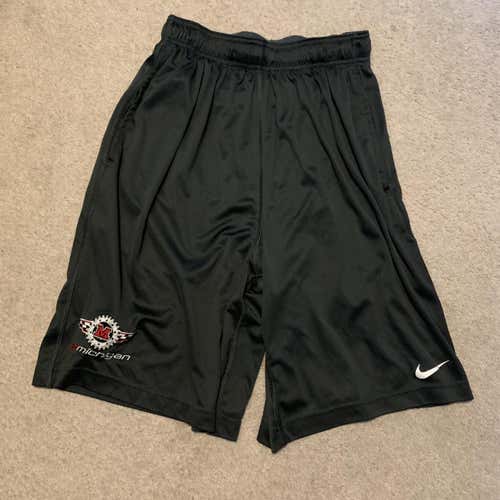 Gray Men's Small Nike Shorts