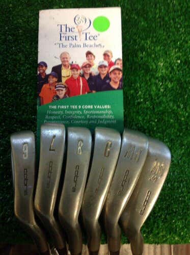 Lady Cobra Oversize Iron Set 6-SW With Ladies Graphite Shafts