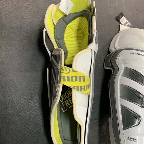 Senior Warrior Dynasty AX1  Shin Pads