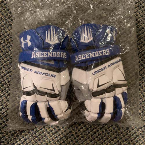 BNIB IMG Academy Under Armour Engage 13" Goalie Gloves