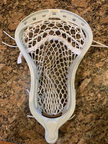 New Attack & Midfield Strung Stallion Head