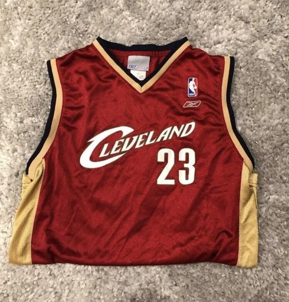 Report: NBA store has sold out of LeBron replica Cavaliers jerseys