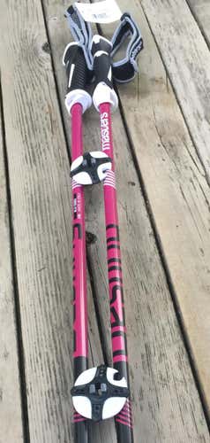 Women's Destiny blue or purple ski poles