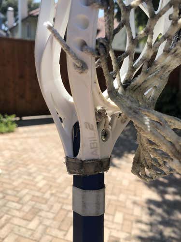 Warrior Rabil 2 Head