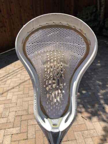 Warrior Evo Warp Pro Head