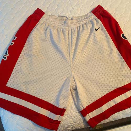 Adult XL Arizona Nike Shorts