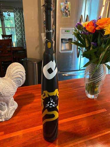 Kid Pitch (9YO-13YO) 2020 Composite CF Zen (-10) 21 oz 31" Bat