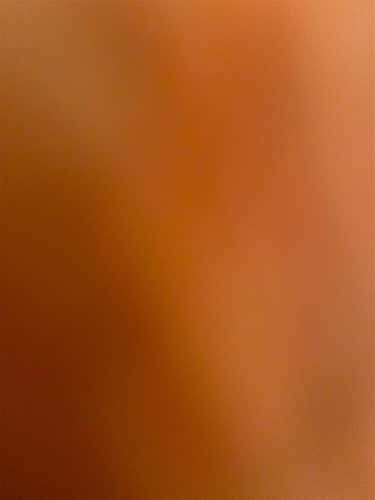 Used STX  Goalie Gloves