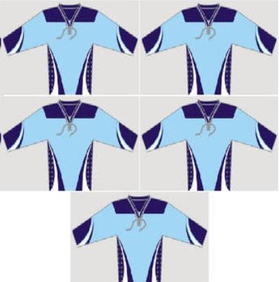 New Team Set of 15 ice hockey jerseys Powder Blue Navy/White RYR Sr Men's League