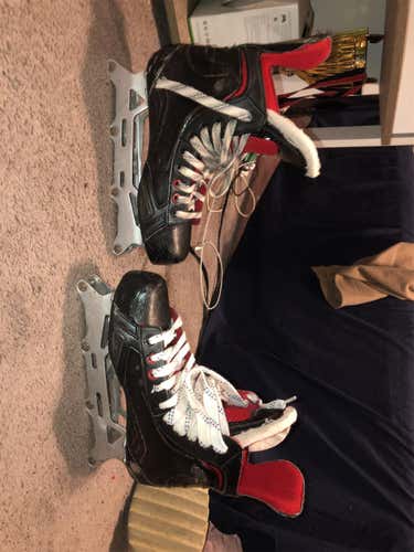 Senior Bauer Regular Width Size 7 Inline Skates