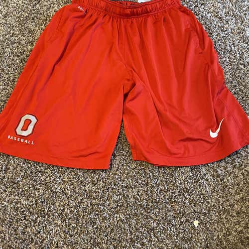 Adult Large Nike Shorts