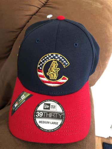 Chicago Cubs New Era MLB 4th Of July Flexfit M/L