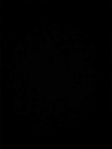 Toronto Huskies SnapBack