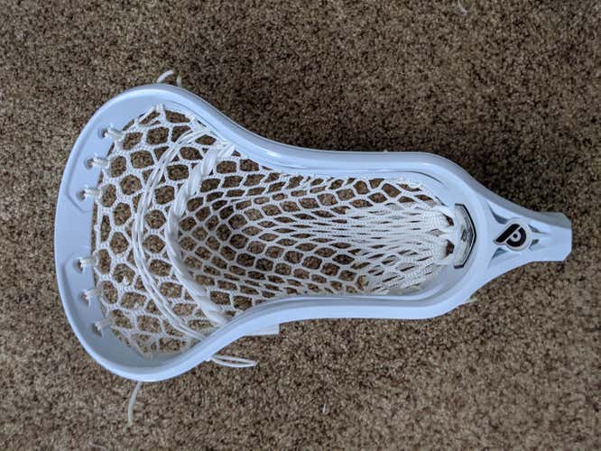New strung Powell Pioneer 2 Head