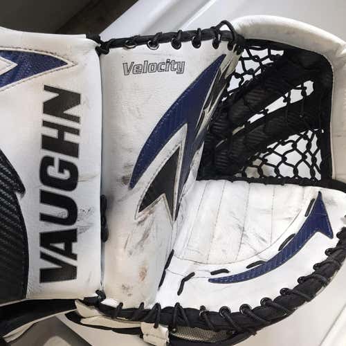 Senior Regular Velocity 7400