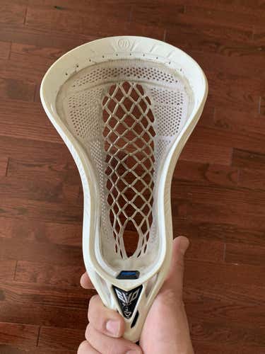 FB Warp (SEE PICTURES)