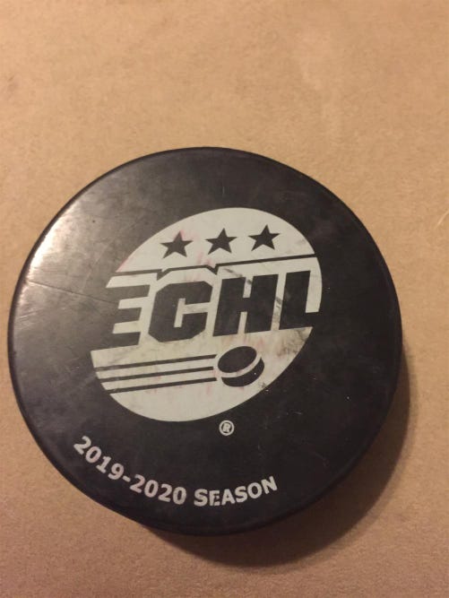 2019 -2020 SEASON ECHL HOCKEY PUCK BLANK BACK