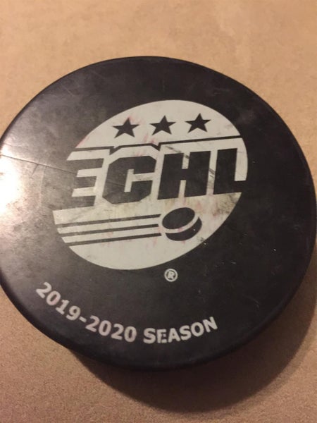 2019 -2020 SEASON ECHL HOCKEY PUCK BLANK BACK