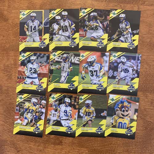 2019 Parkside MLL Florida Launch Complete Player Set