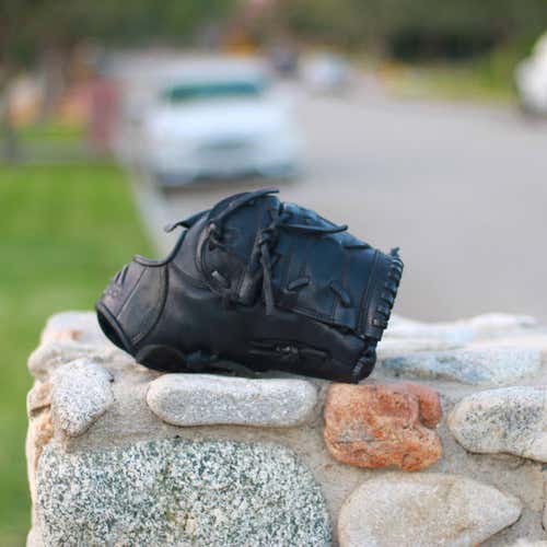 Adidas Eqt 12” Baseball Glove