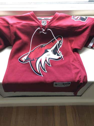 Used Youth Small / Medium Reebok Jersey