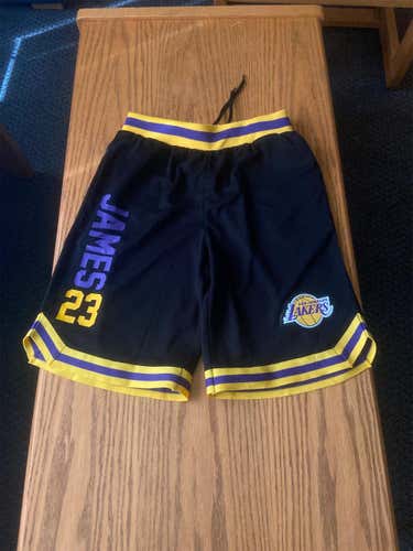 Lebron James Los Angeles Lakers Small Shorts
