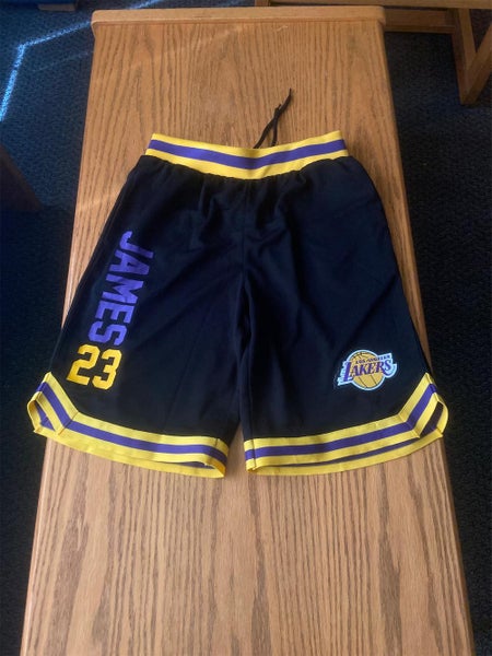Lebron James Los Angeles Lakers Small Shorts