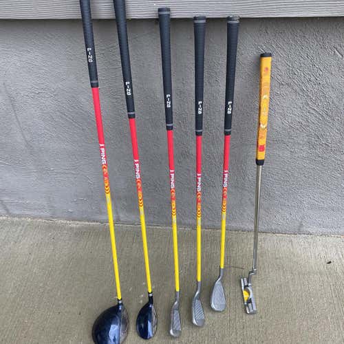 Junior Right Handed Ping Pal Youth Regular Flex 6 Pieces Clubs (Full Set)