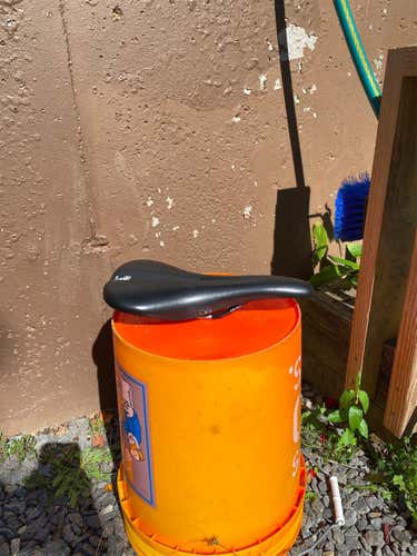 WTB Silverado Race Seat w/ Santa Cruz Log