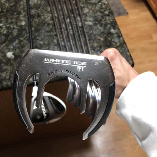 Men's Mallet White Ice Putter