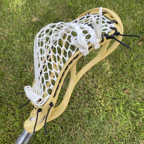 Used STX Stallion 700 Head