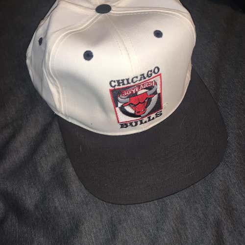 Chicago Bulls Vintage Hat