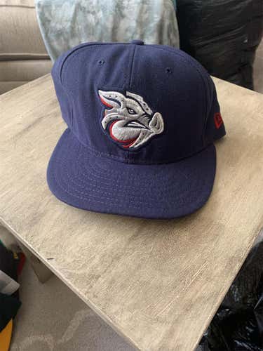 Lehigh Valley Ironpigs Fitted Hat