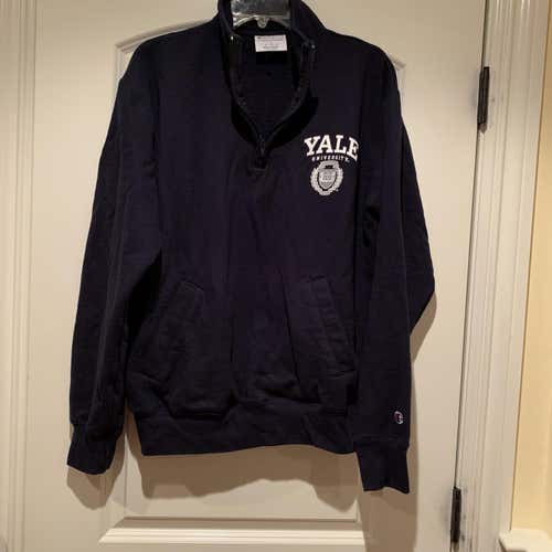 Blue Men's Large Champion Sweatshirt
