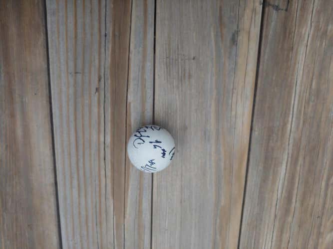Team Signed Colorado Mammoth lacrosse ball