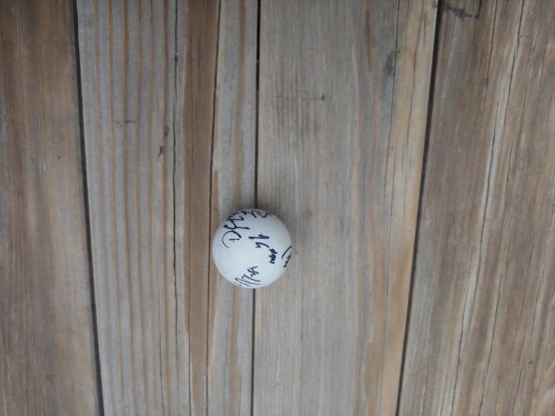 Team Signed Colorado Mammoth lacrosse ball