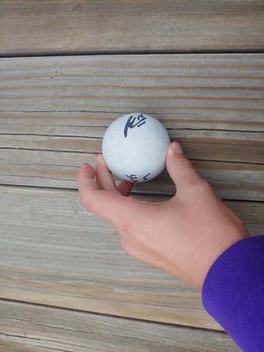 Ryan Lee and Brad Self Colorado Mammoth signed ball