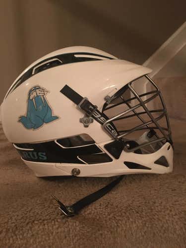 Thirsty Walrus Used Cascade Pro-7 Helmet