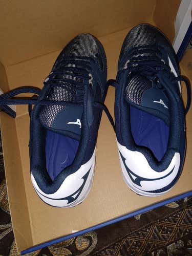 Turf Cleats Mizuno, Navy, size 14-New