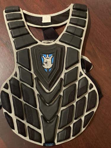 New Small Brine King Chest Protector