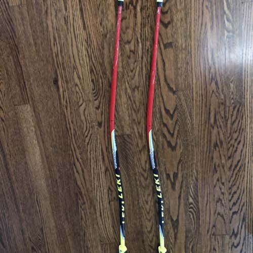 Used 44in (110cm) Racing World Cup Lite GS Ski Poles